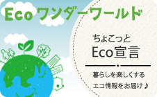 Ecoワンダーワールド