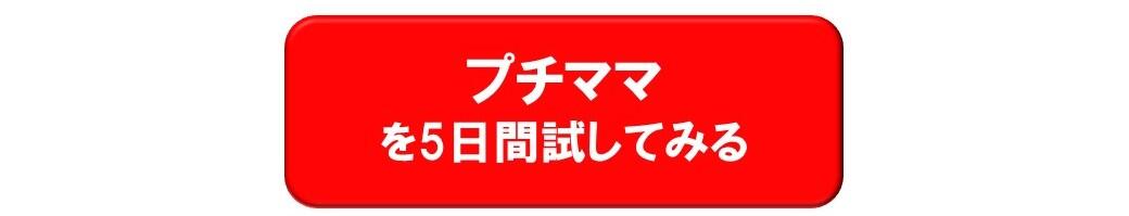 プチボタン.jpg