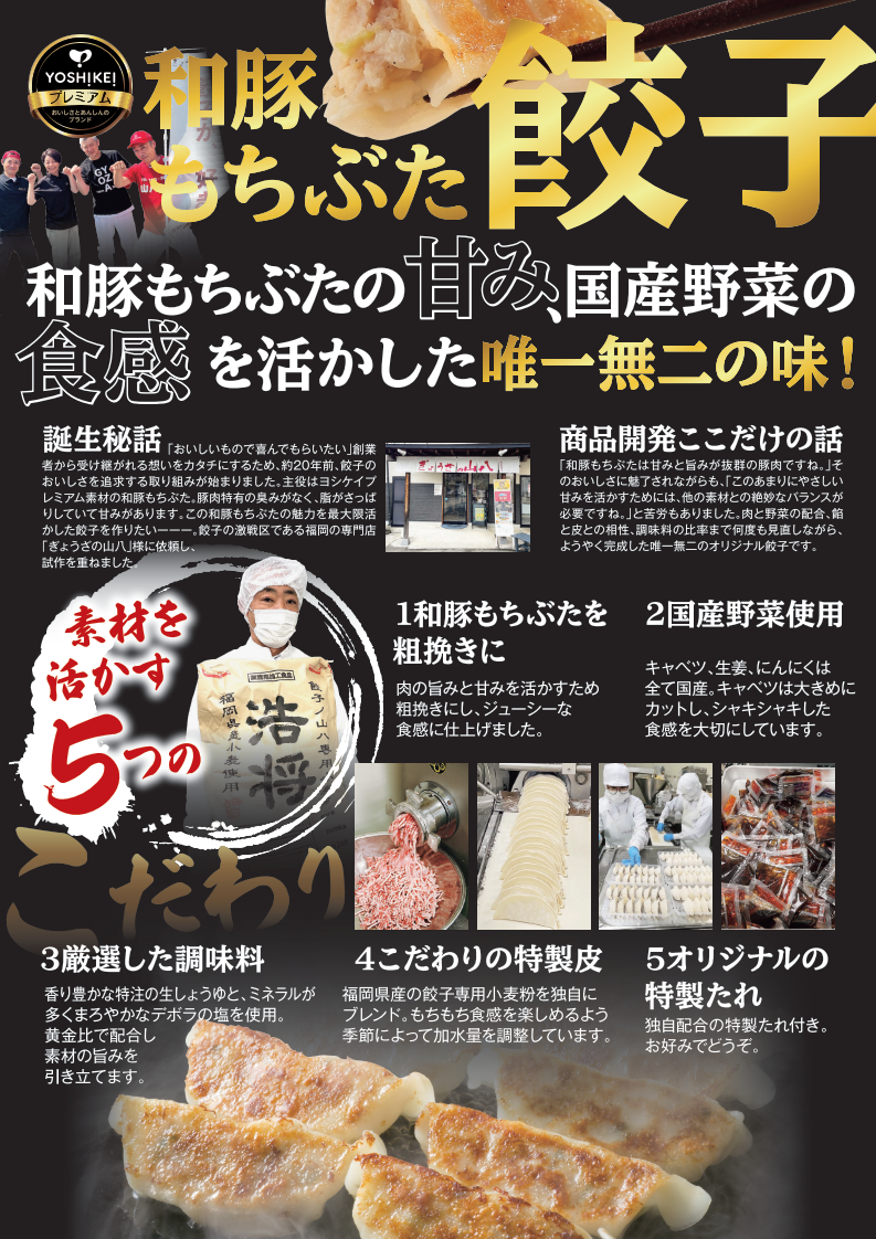 ベストフレッシュ和豚もちぶた餃子2_page1.png