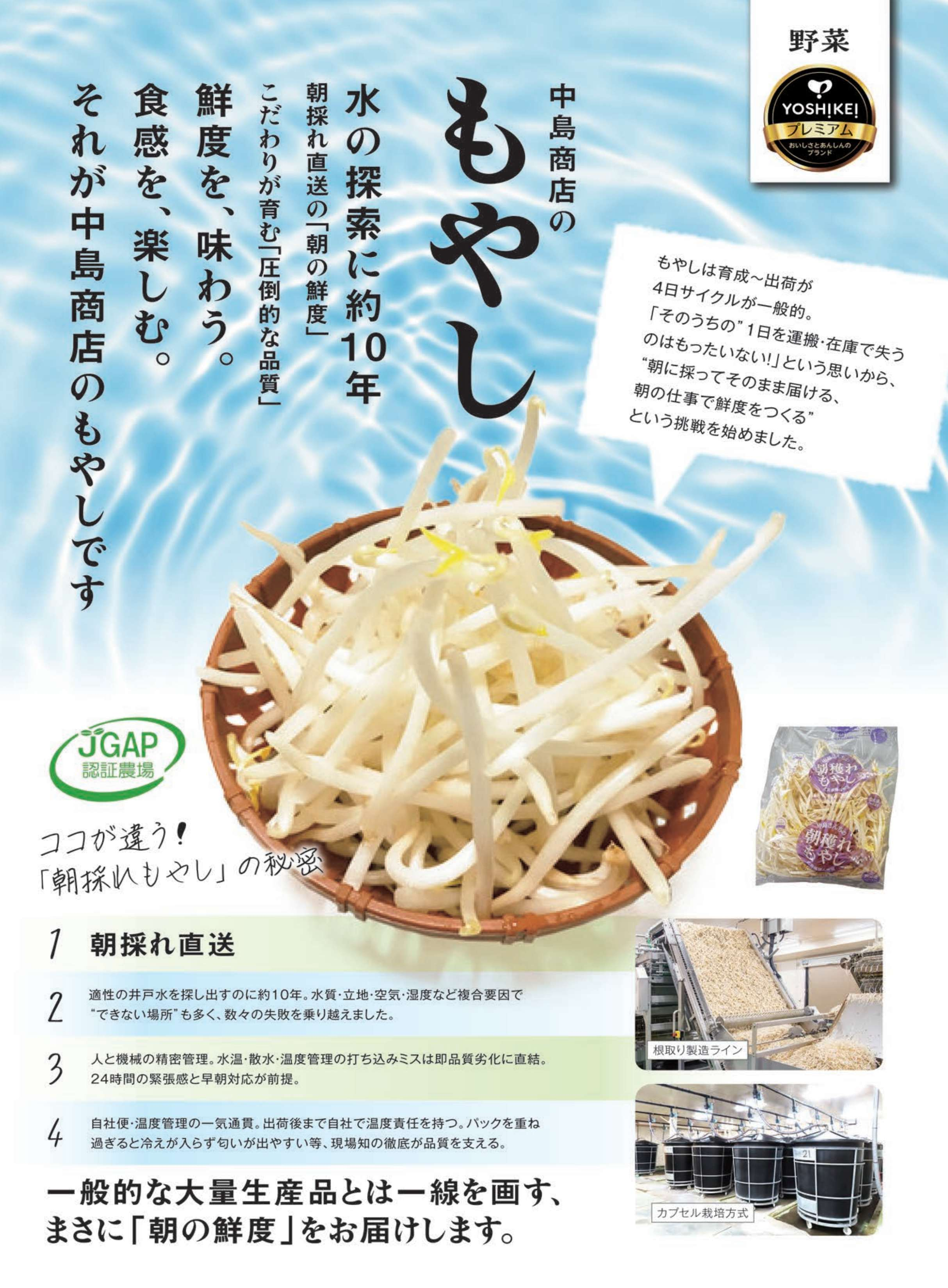 もやし詳細.jpg