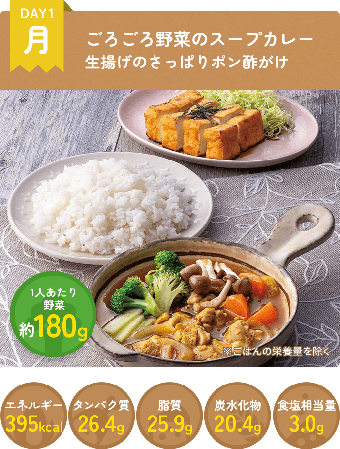 DAY1 ごろごろ野菜のスープカレー 生揚げのさっぱりポン酢がけ