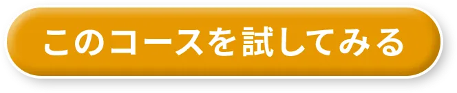 このコースを試してみる