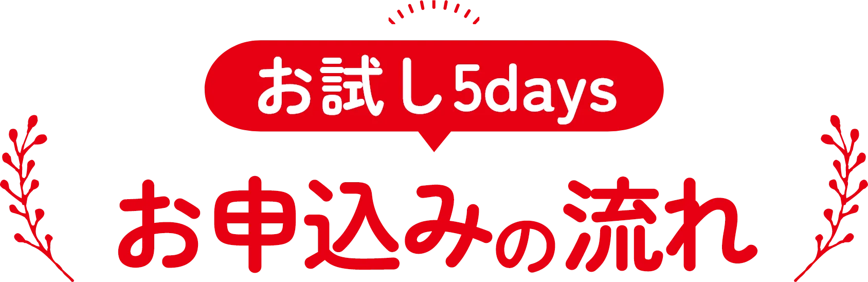 お試し5days！お申込みの流れ