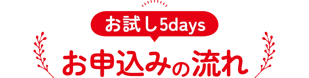 お試し5days お申込みの流れ