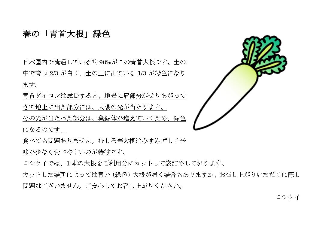大根青い_HP用_page-0001.jpg