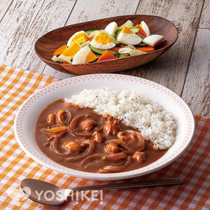 チキンハヤシライス