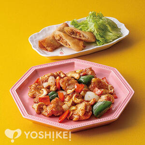 鶏肉とカシューナッツのオイスターソース炒め