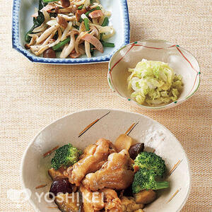 鶏手羽元のやわらか煮