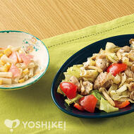 鶏肉と野菜の塩麹炒め