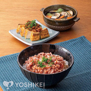 のせるだけ！のっけ家のねぎとろ丼