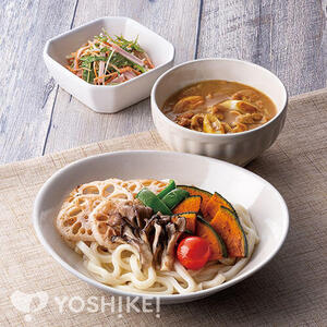 ５種野菜のカレーつけうどん