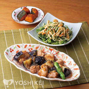 鶏肉となすのみぞれ煮