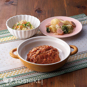 煮込みハンバーグ
