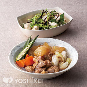 鶏肉と冬瓜のやわらか煮