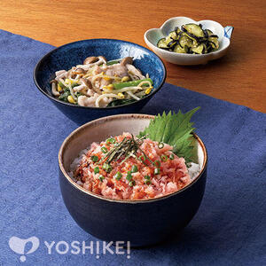 のせるだけ！のっけ家のねぎとろ丼