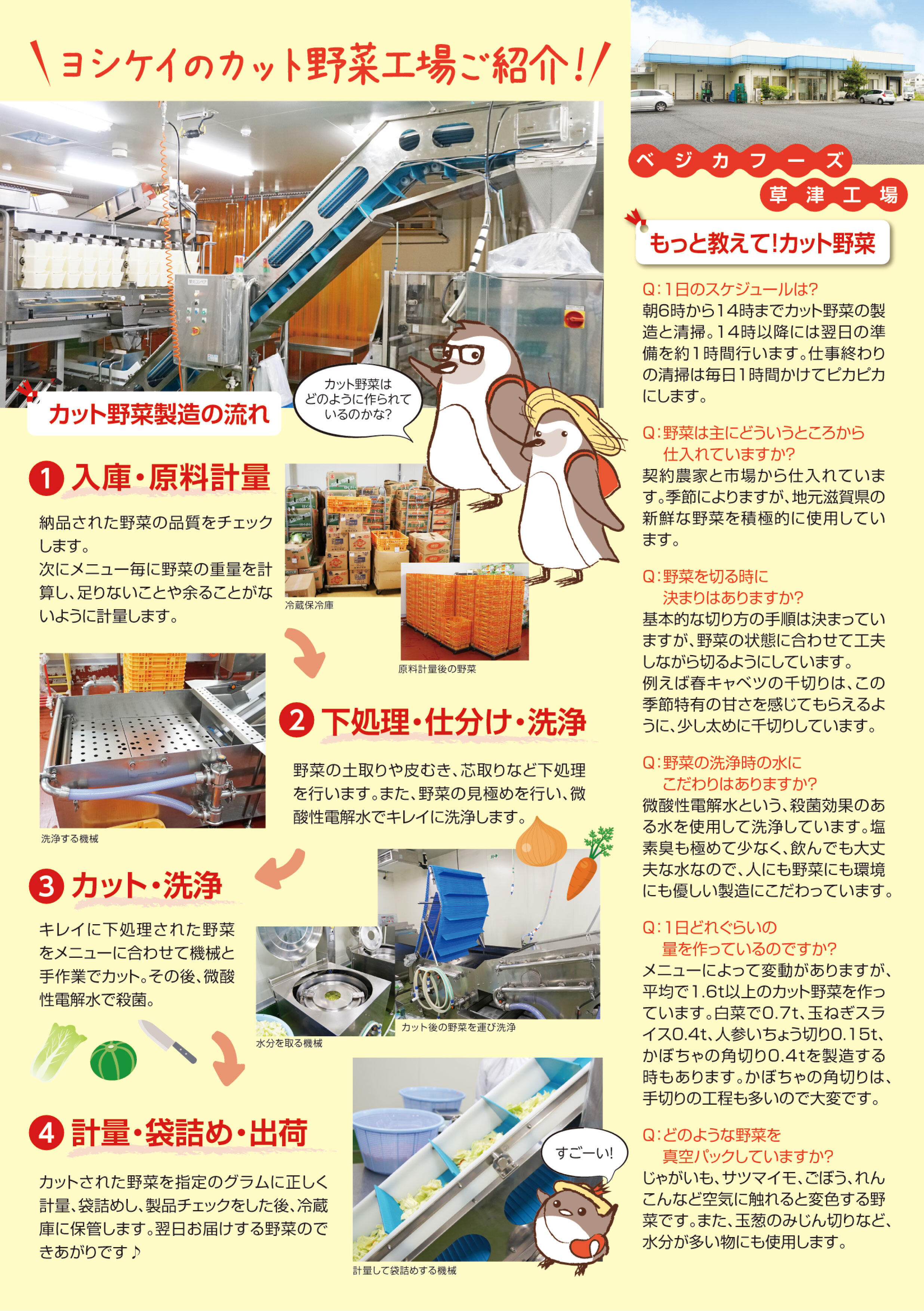 ベジカ工場内紹介.jpg