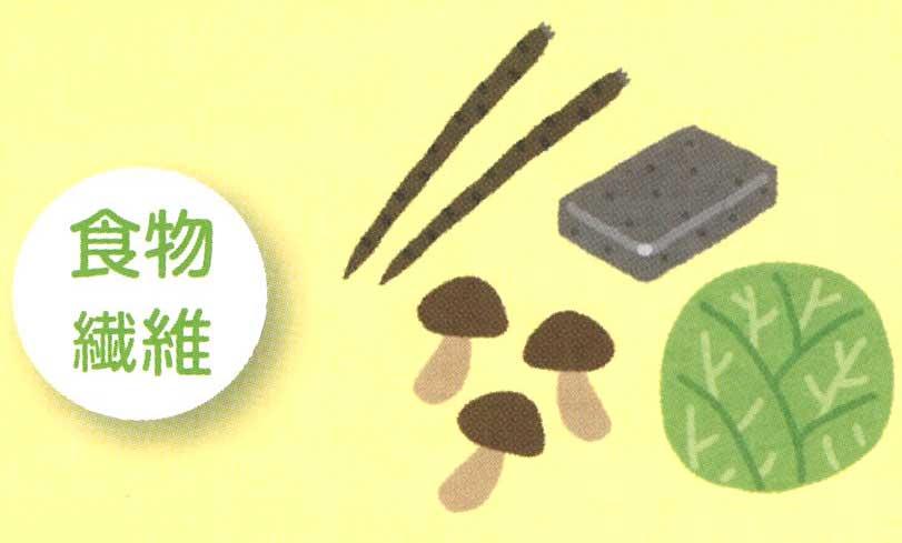 食物繊維.jpg