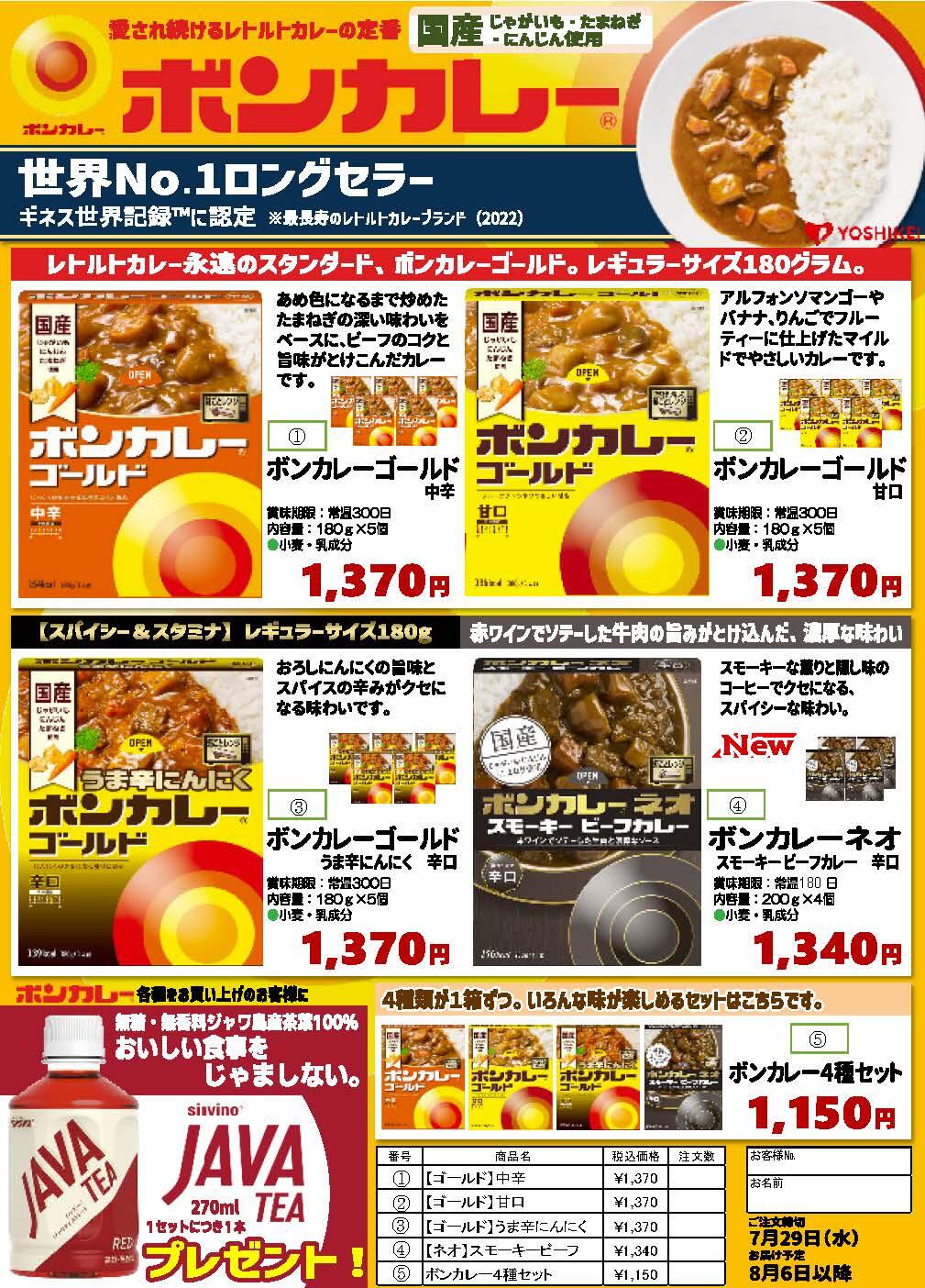 カレーチラシ.jpg